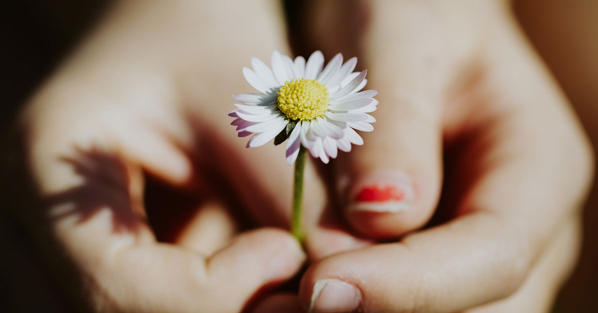 A person holding a small flower in both hands.
